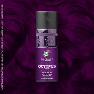 K.C. Colors Octopus