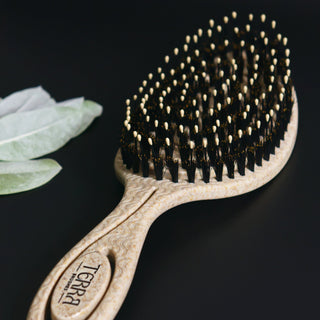 Terra Brush Double Cell