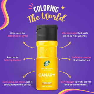 K.C. Colors Canary