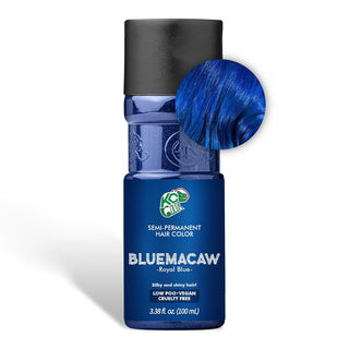 K.C.Colors Blue Macaw