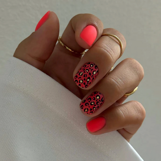 BBIO Brilliant Orange
