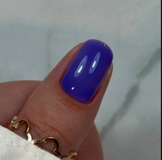 BBIO Violet Iris